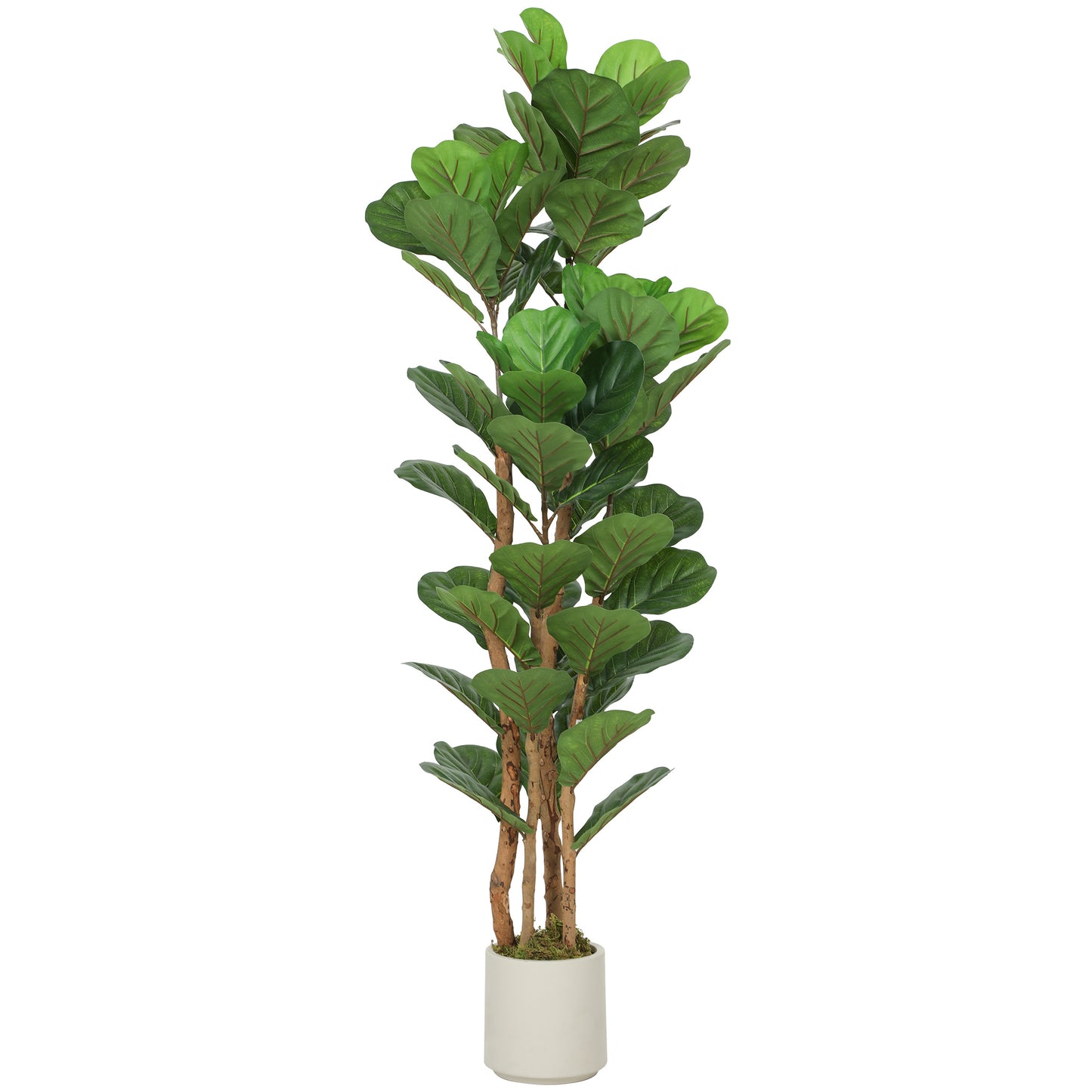 Toelna Artificial Fiddle Leaf Fig Style Tree With Broad Leaves H8 150cm Green